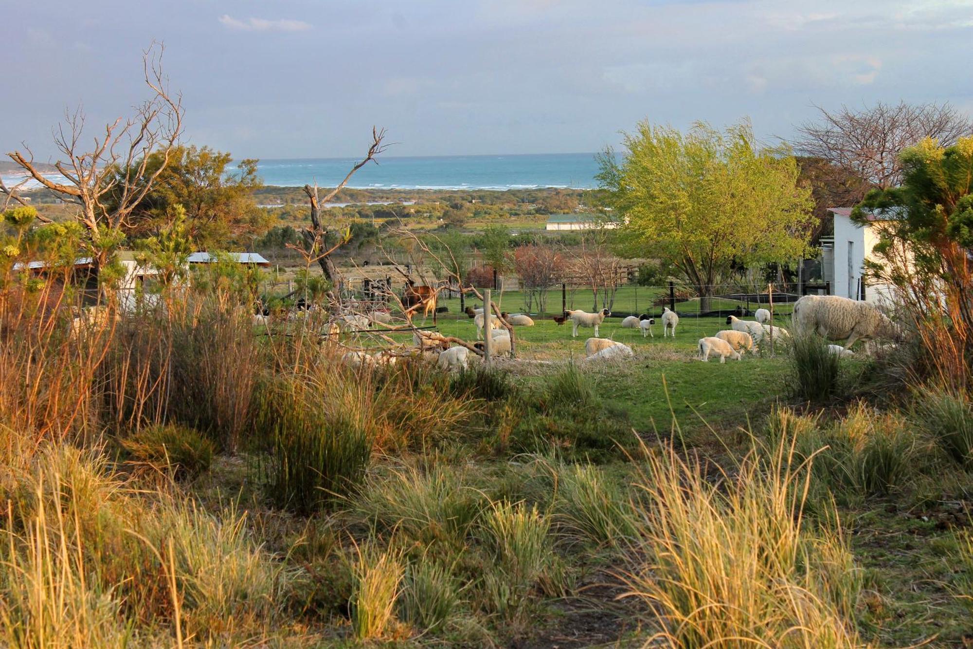 Blombos Self-Catering House Franskraalstrand Exterior foto